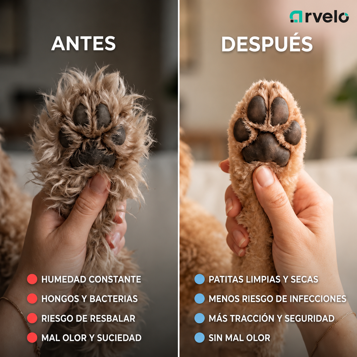 PetTrim Pro Kit de Estética Animal — Corte rápido y seguro sin tirones + Envío Gratis Hoy